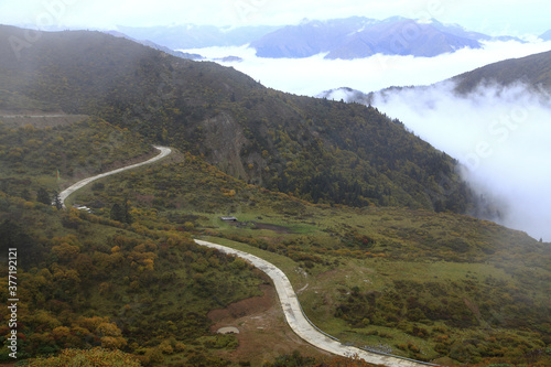 Sichuan Jiuzhaigou Immortal Pool Mountain Road and Cloud Sea