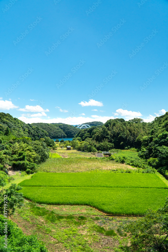 長崎県佐世保市 西海橋の見える風景 長崎県佐世保市 西海橋の見える風景