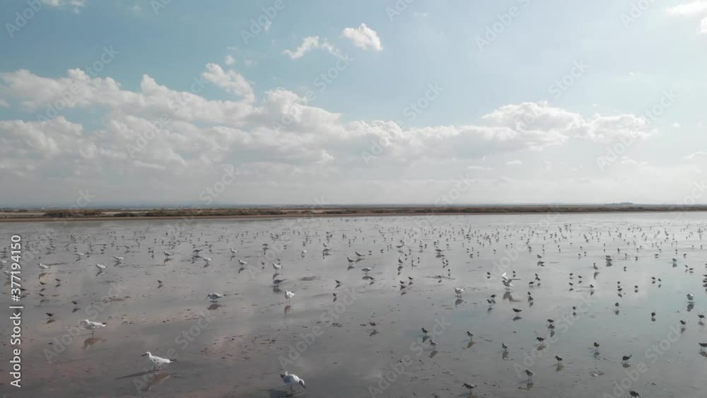 The saline water lake of Santa Margherita di Savoia, Puglia, Italy