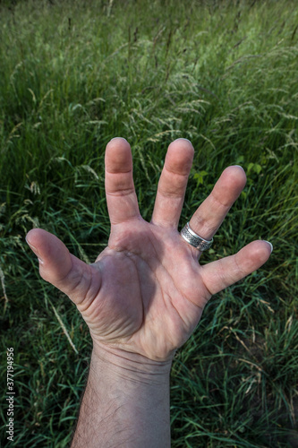 A hand with silver ring before the meadow