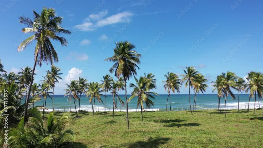 Coastal beach scene. Blue seascape view. Top view of coastal beach. Seascape scene. Itapua beach, Salvador, Bahia, Brazil. Palm trees view. Beach life scene. Palm trees scene. Itapua bech view. Coastal beach scene. Blue seascape view. Top view of coastal beach. Seascape scene. Itapua beach, Salvador, Bahia, Brazil. Palm trees view. Beach life scene. Palm trees scene. Itapua bech view.