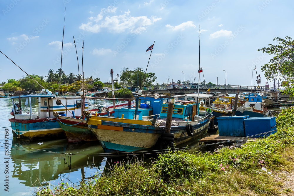 The fishing fleet in Negombo, Sri Lanka moored on the banks of the lagoon