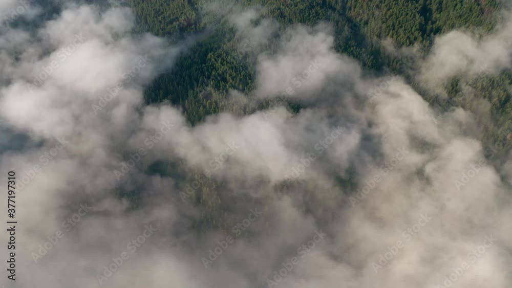 Drone flight over low clouds and morning mists covered mountain slopes at sunrise, the Rhodope Mountains in Bulgaria Drone flight over low clouds and morning mists covered mountain slopes at sunrise, the Rhodope Mountains in Bulgaria