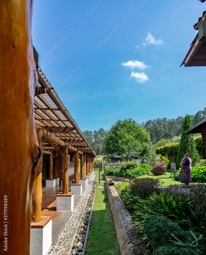 Obraz premium house in the forest