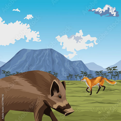 wild pig and fox in the landscape