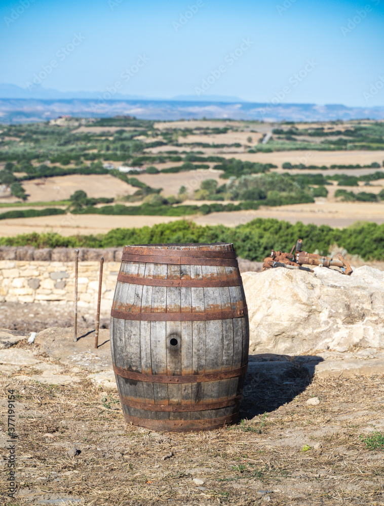 old divine barrel carignano,south sardinia