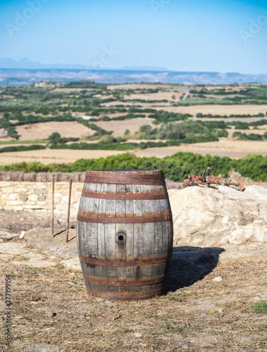 old divine barrel carignano,south sardinia