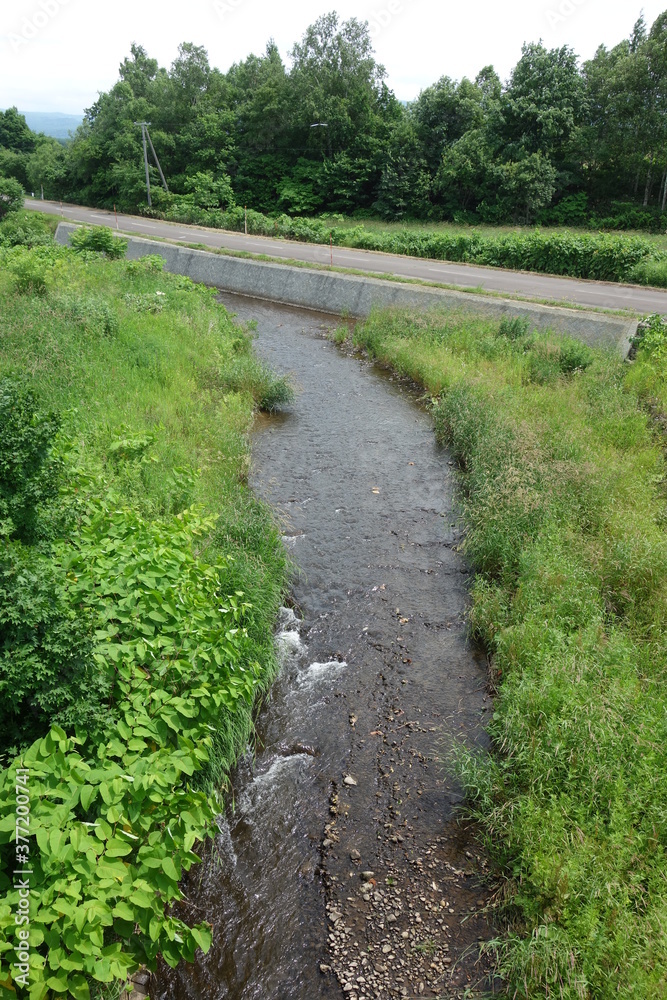 新緑の川と道路