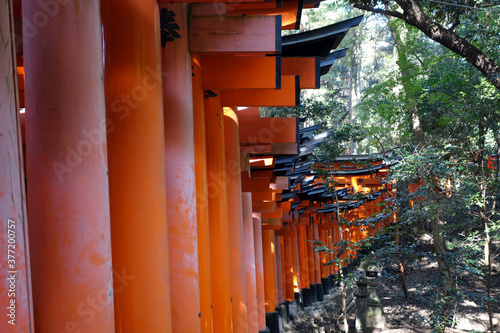 Canvas Print Fushimi Inari Taisha shrine Japanese gate torii in Kyoto, Japan