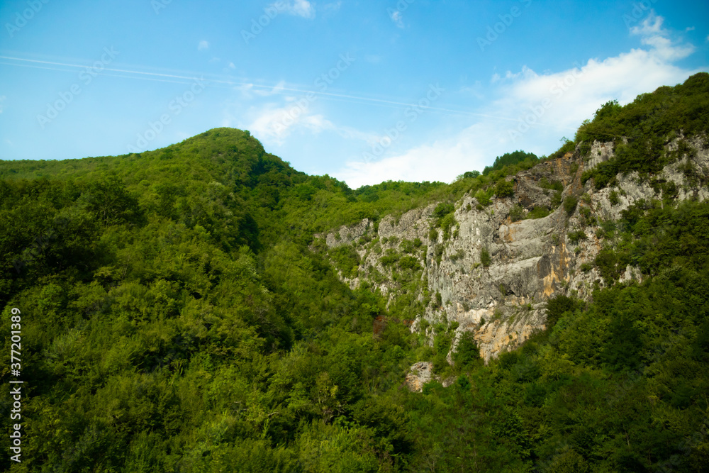Montenegrin mountains with dense forests, travel around Europe by bus