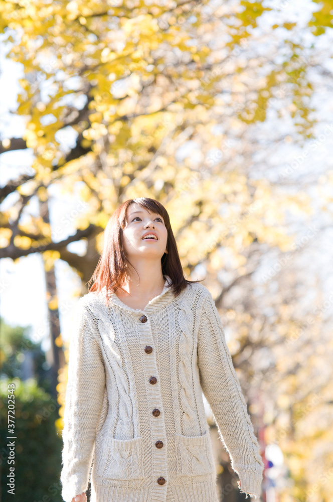 イチョウ並木を歩く女性 イチョウ並木を歩く女性