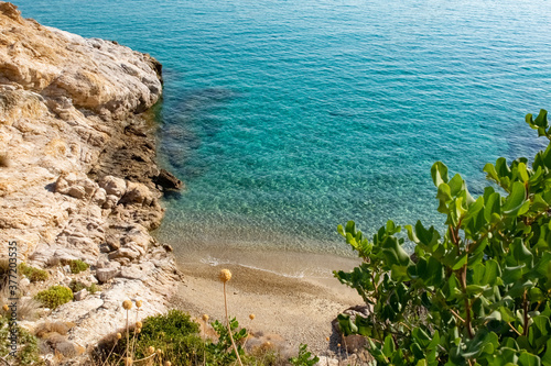 Nature and plants next to a marvelous beach in Ikaria Island, Greece photo