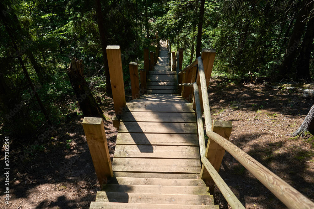 Wooden steep stairs in the forest Wooden steep stairs in the forest