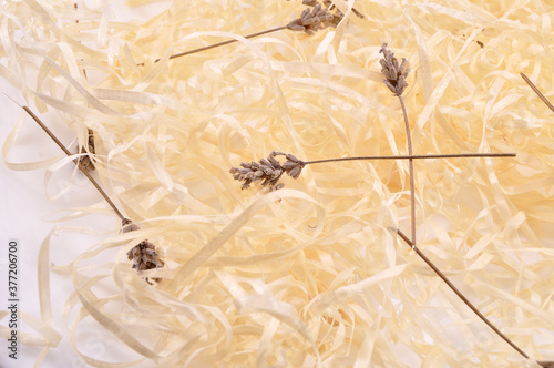 stalk of dry wheat spikelet