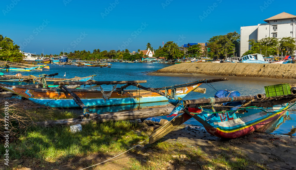 A view of traditional outrigger canoes moored on the banks of a tributary to the lagoon in Negombo, Sri Lanka