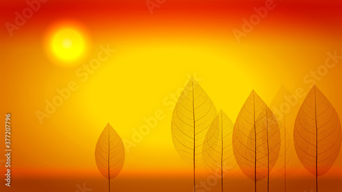 Autumn forest at sunset. Background with autumn leaves.	
