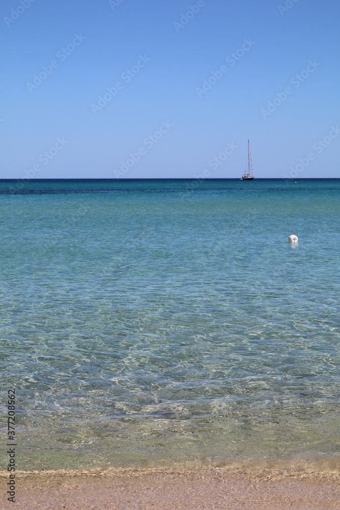 Fototapeta premium panorama del mare con boa e barca a vela