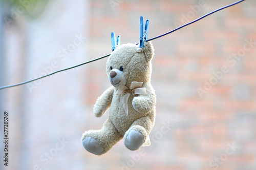 Teddy bear toy, gift plush dries on a rope