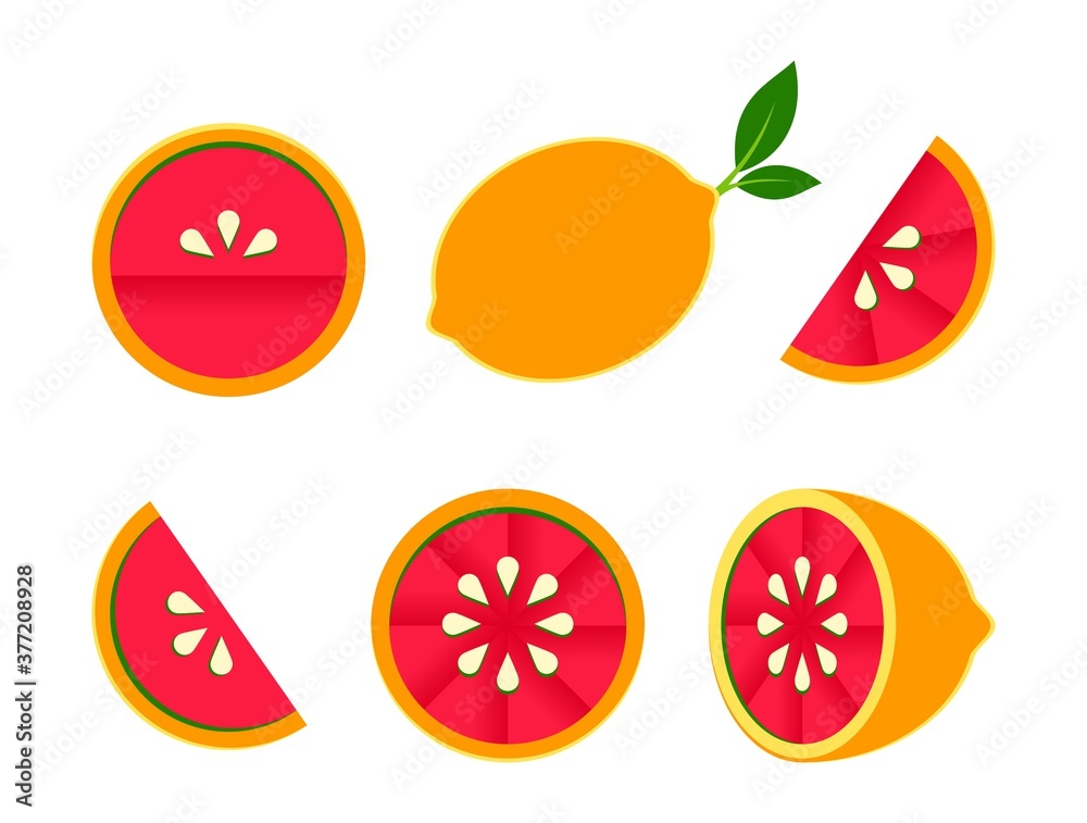 Orange tangerine grapefruit lemon lime on a white background. Vector illustration of summer fruits and citrus. Citrus icons are silhouettes of pictograms. Tropical fruit. Grapefruit parts, slices