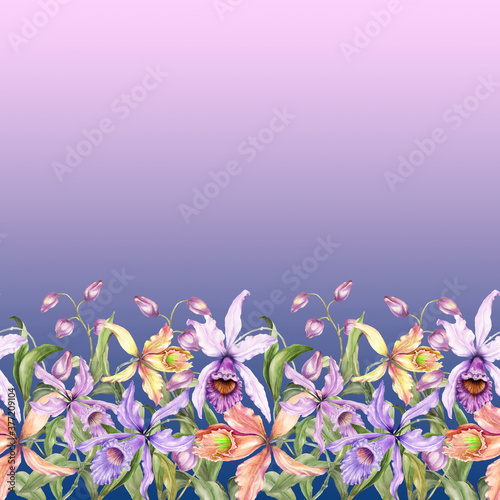 Beautiful exotic orchid flowers (Laelia) and monstera leaves on gradient background. Seamless tropical floral pattern, border. Fabric, wallpaper, bed linen, greeting card design.