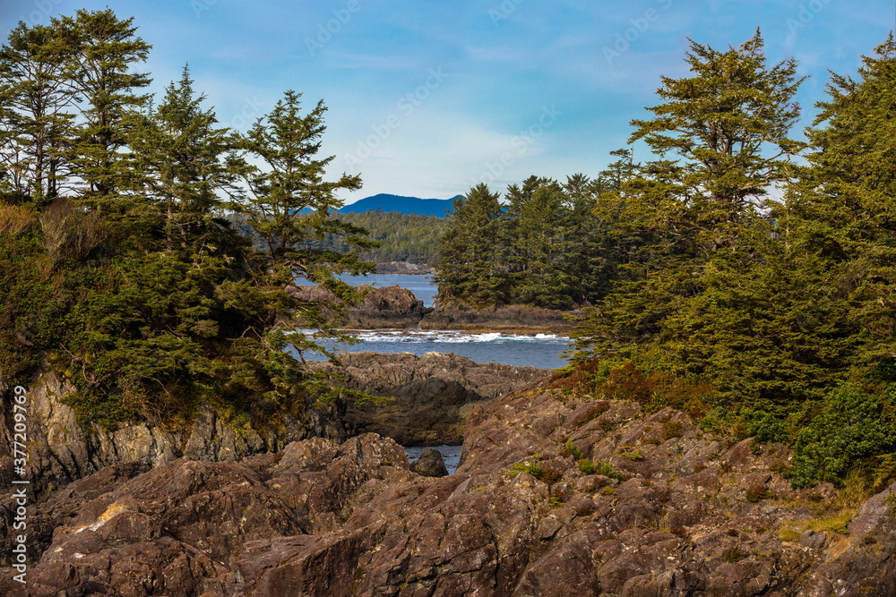 West coast of Vancouver Island Rugged shoreline at wild pacific trail in Ucluelet, rocky islands partially overgrown with coniferous forest against the background of blue sky, British Columbia Canada West coast of Vancouver Island Rugged shoreline at wild pacific trail in Ucluelet, rocky islands partially overgrown with coniferous forest against the background of blue sky, British Columbia Canada