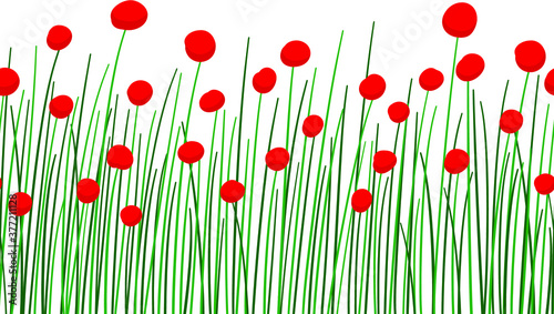 Seamless floral border. Field with poppies and grass. Red flowers, green plants. Cute summer illustration is hand drawn. Suitable for postcards, notebooks, bedding, clothing, T-shirts. © SashaShuArt