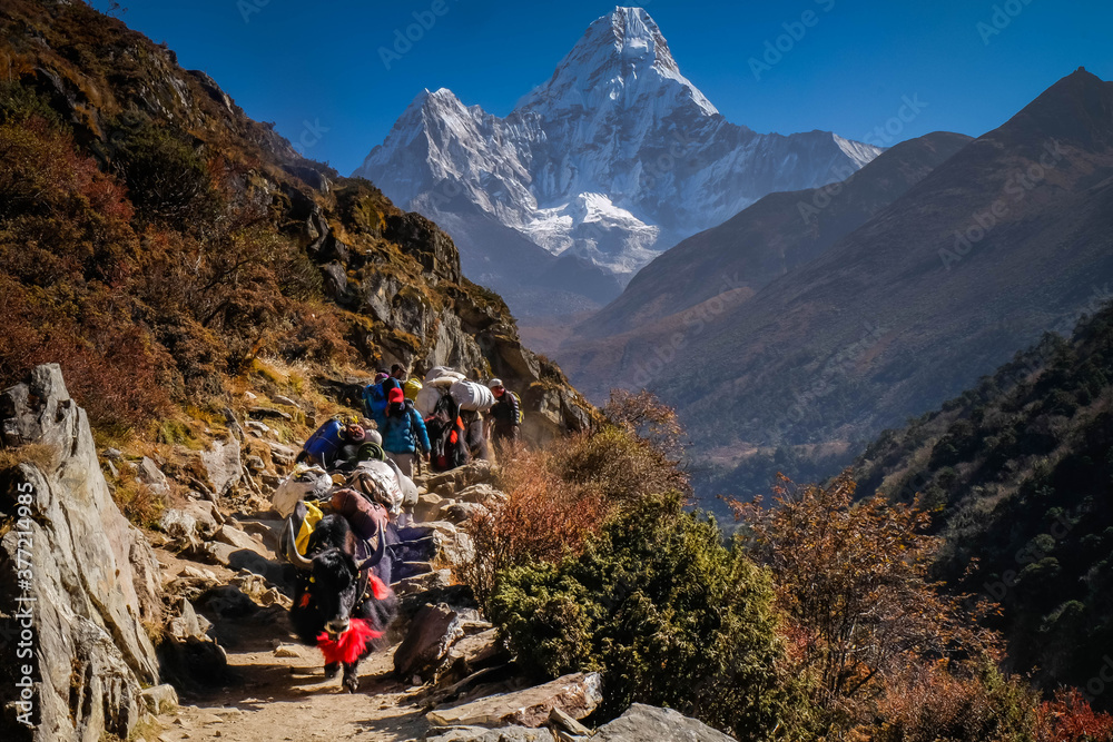 Fototapeta premium trekking in Nepal