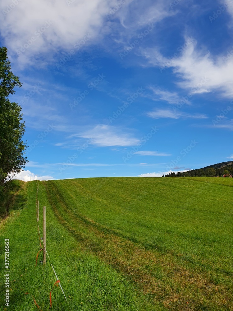 Obraz premium Landscape with blue skies and green fields - Bogstad Gård
