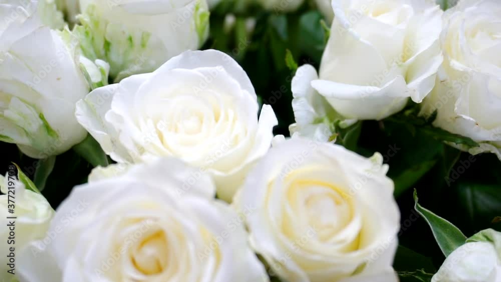 bouquet of beautiful roses close up. shallow depth of field. bouquet of beautiful roses close up. shallow depth of field.