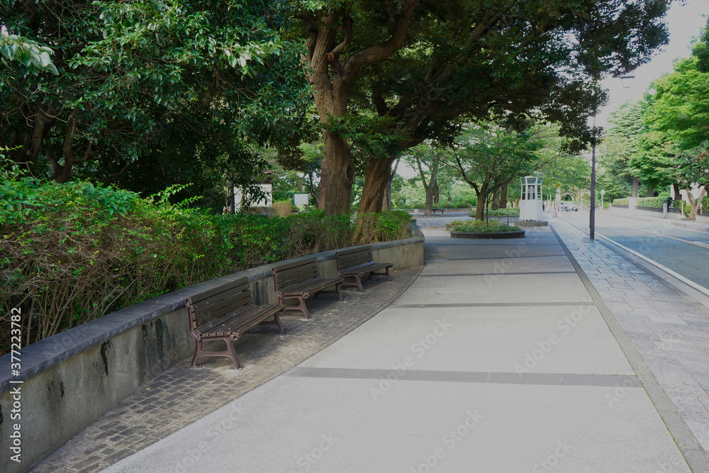 bench on roadside in yokohama