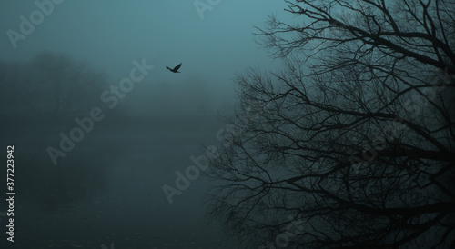 Foggy lake river landscape. Creepy dark wide background