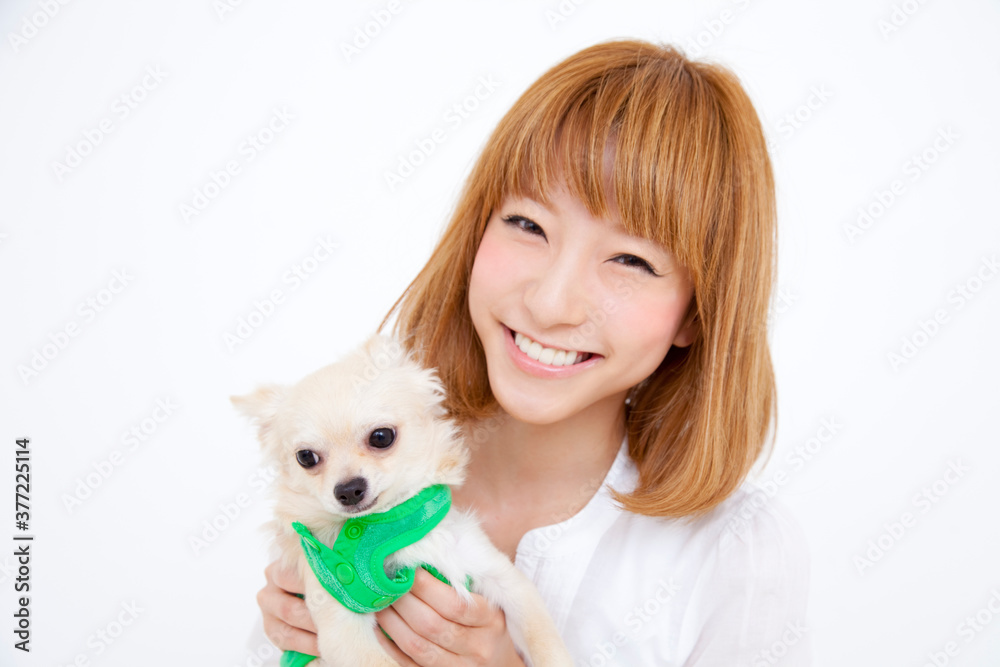 チワワを抱っこする女性 チワワを抱っこする女性