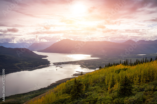 Colorful meadow fields on top of Nares Mountain during fall season. Located in Carcross, near Whitehorse, Yukon, Canada.