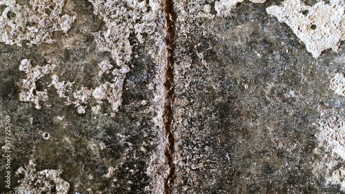 Background of gray cement surface in grunge style photo