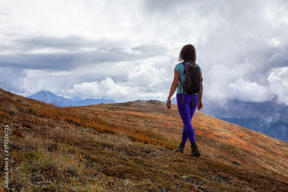 Fototapeta premium Adventurous Girl Hiking up the Nares Mountain during a cloudy and sunny evening. Taken at Carcross, near Whitehorse, Yukon, Canada.