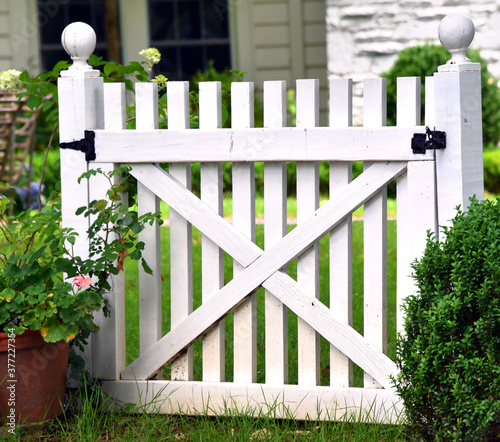Front Gate White Wooden photo