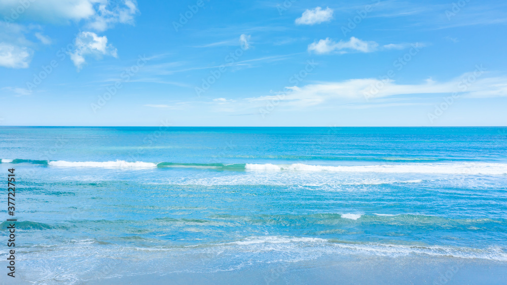 海 海