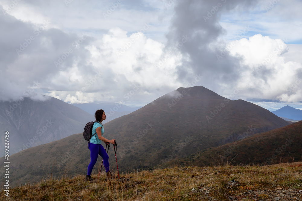 Fototapeta premium Adventurous Girl Hiking up the Nares Mountain during a cloudy and sunny evening. Taken at Carcross, near Whitehorse, Yukon, Canada.