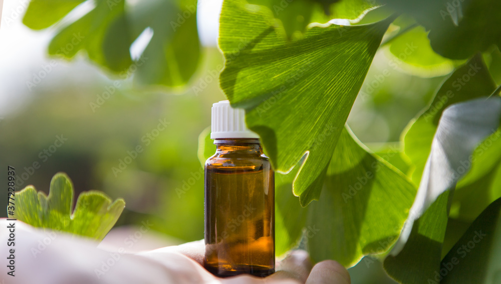 Ginkgo biloba essential oil - beauty treatment, speace for text.