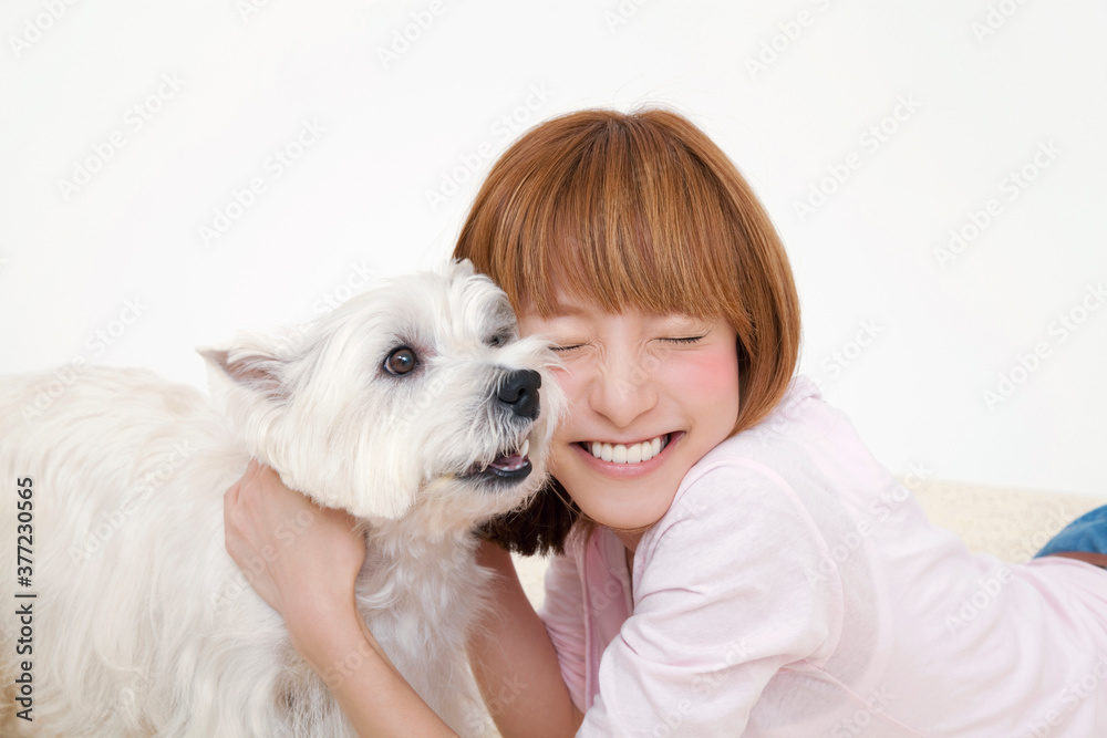 飼い犬と女性 飼い犬と女性
