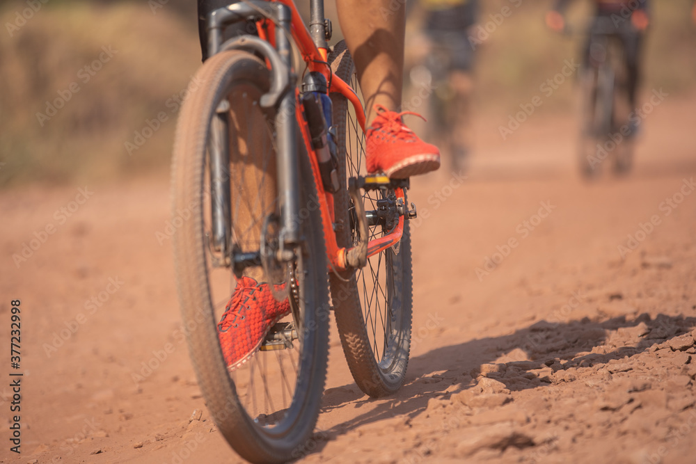 Fototapeta premium bike