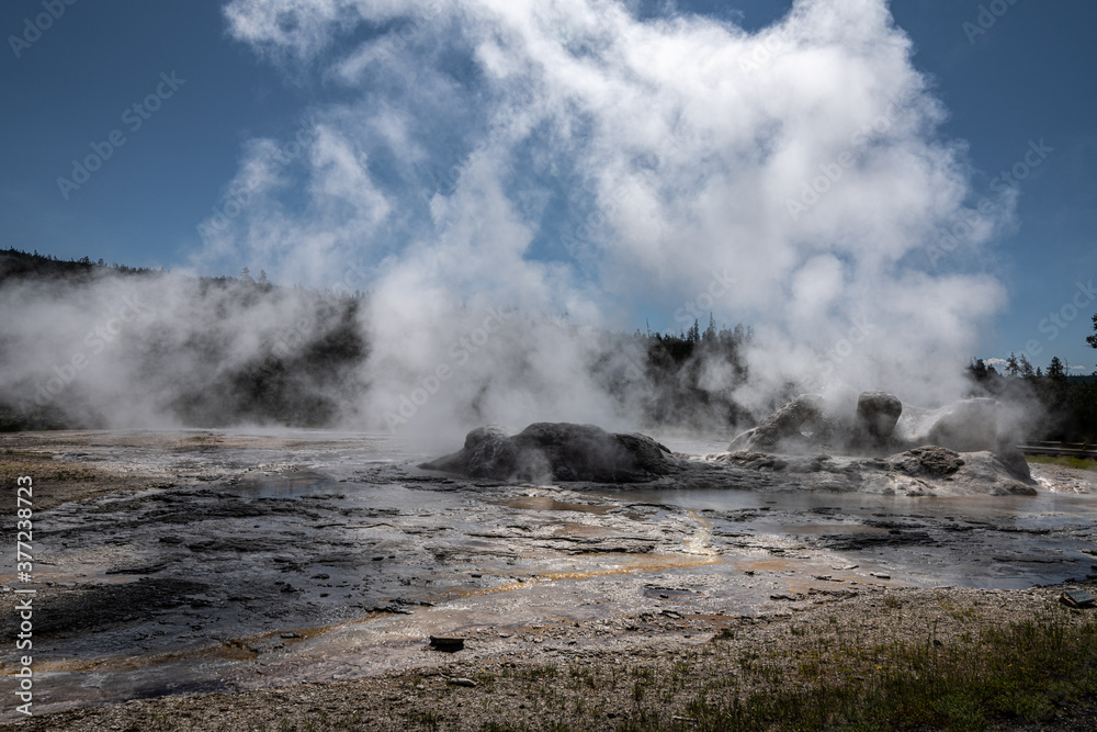 Grotto Geyser, Upper Geyser Basin, Yellowstone National Park