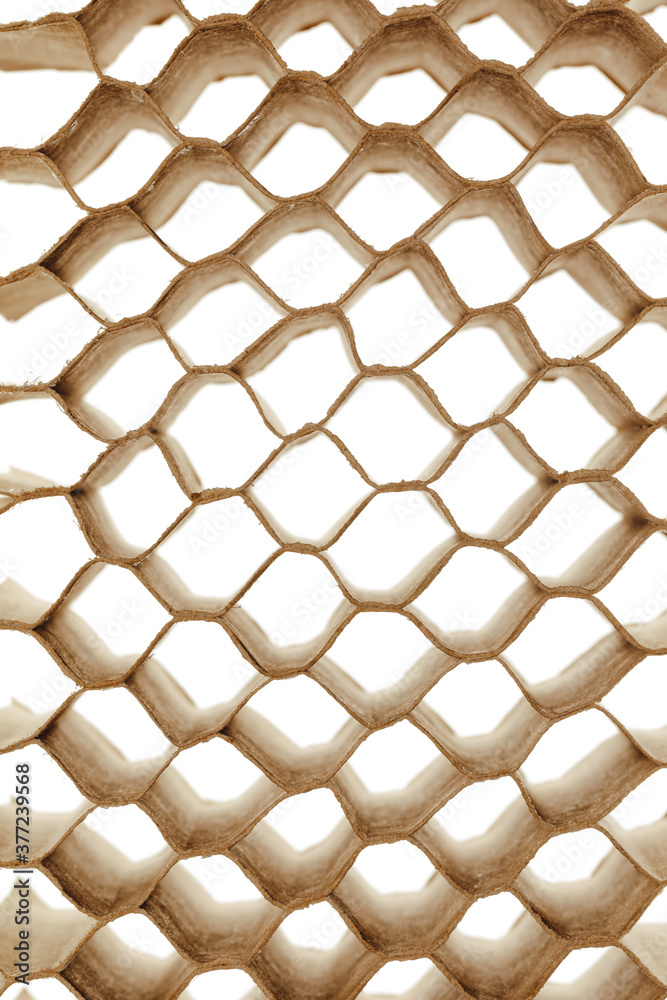 Fototapeta premium honeycomb cells of cardboard stiffering rib background