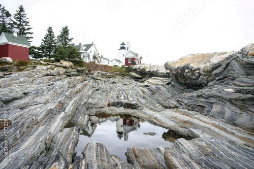 Fototapeta Naklejka Na Ścianę i Meble -  Maine Coast
