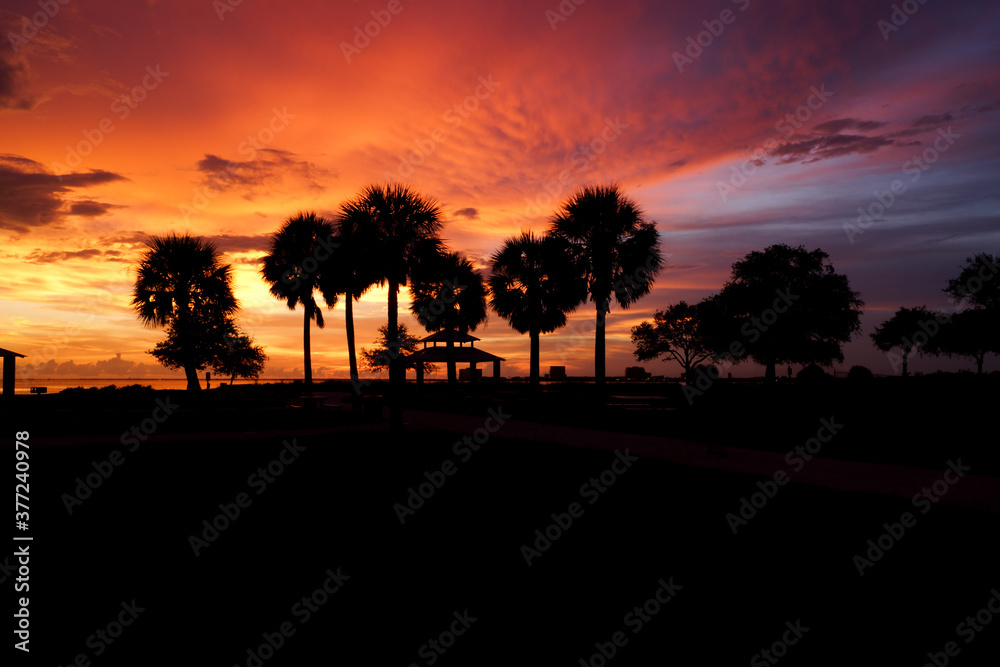 Tampa Bay Sunset