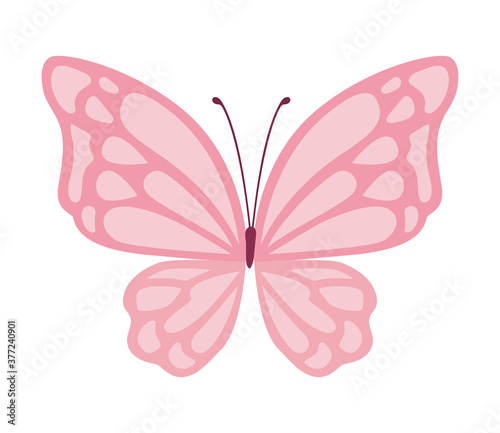 cute pink butterfly vector design © grgroup