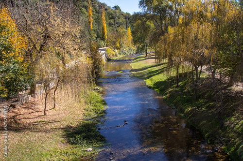 Río natural azul y árboles