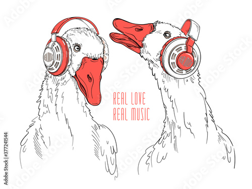 Two cute cartoon geese with headphones. A fun image for printing on any surface.