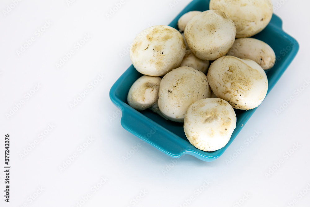 mushrooms on a plate mushrooms on a plate