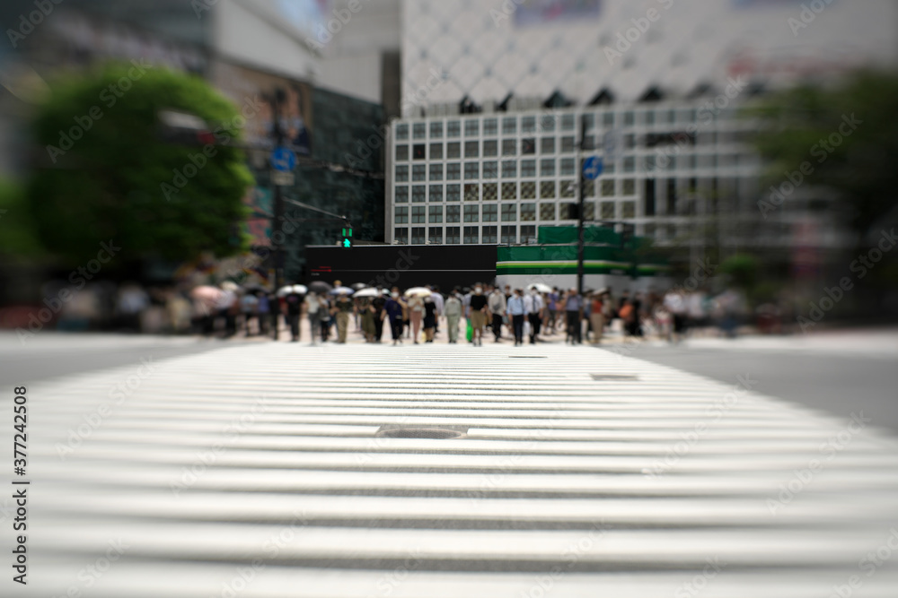Tokyo,Japan-September 10, 2020: Famous scramble crossing in Shibuya, Tokyo, Japan
